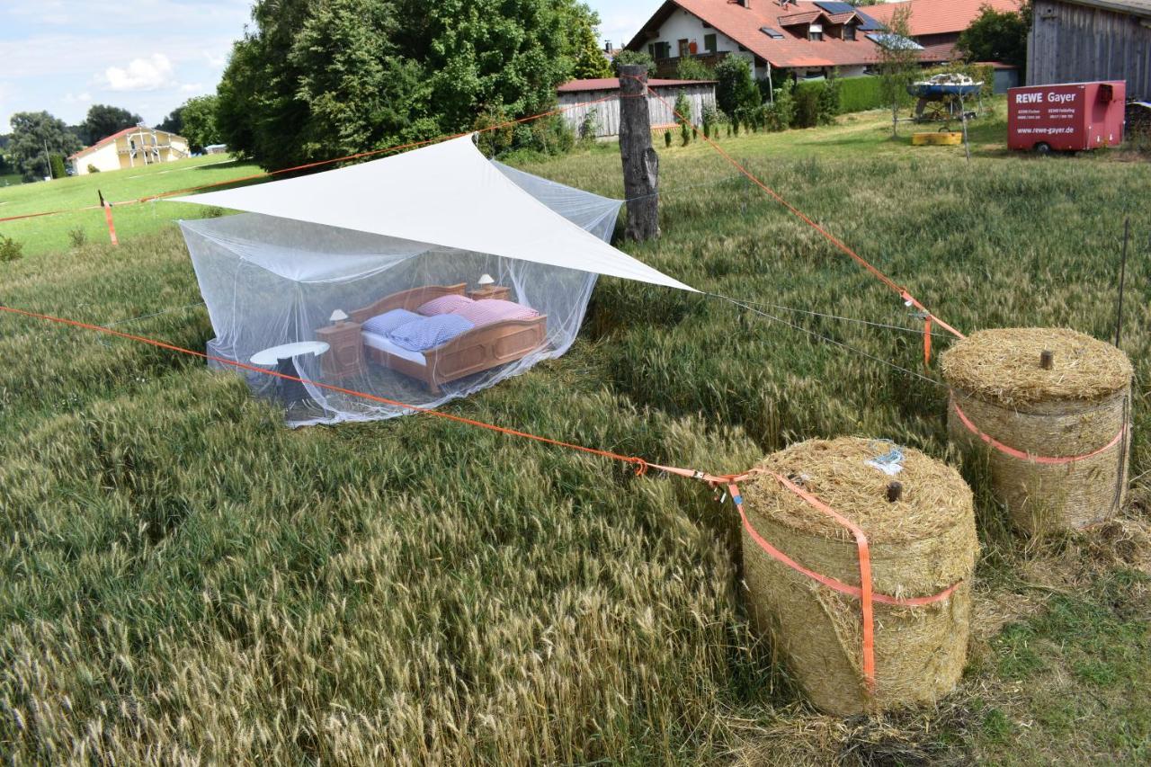Open Air, Bett Im Kornfeld Finning Exterior foto
